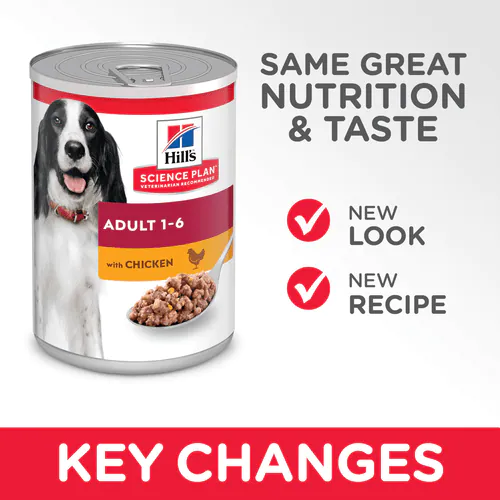 Hill’s Science Plan Adult Dog Food With Chicken Can Dog Hill's Science Plan Adult Dog Food With Chicken Can - Image 2