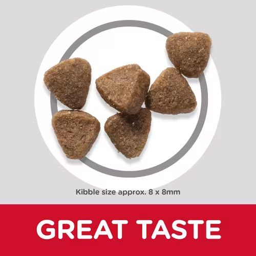 Hill’s Science Plan Kitten Dry Food Tuna Flavor Cat Hill's Science Plan Kitten Dry Food Tuna Flavor - Image 3