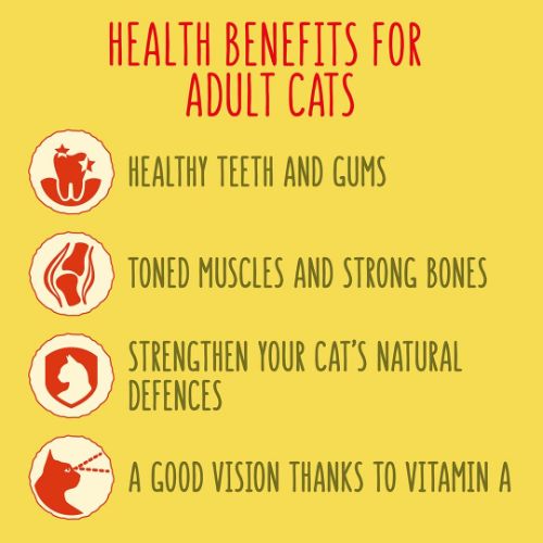 Go-Cat Crunchy and Tender Cat Food Salmon Tuna & Veg 900g Cat Go-Cat Crunchy and Tender Cat Food Salmon Tuna & Veg 900g - Image 4