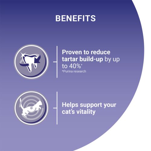 Purina One Adult Cat Chicken and W/Grain 800g Cat Purina One Adult Cat Chicken and W/Grain 800g - Image 3