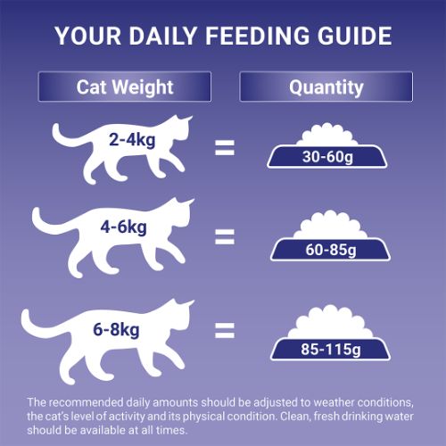 Purina One Adult Cat Chicken and W/Grain 800g Cat Purina One Adult Cat Chicken and W/Grain 800g - Image 4