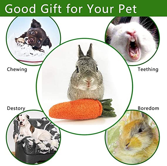 TD Rabbit & Guinea Carrot Chew Teeth Toy Rabbit TD Rabbit & Guinea Carrot Chew Teeth Toy - Image 4