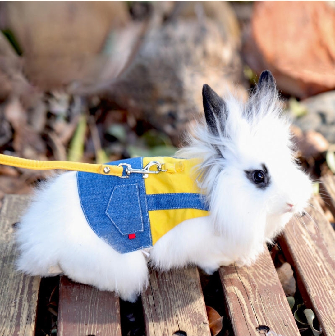 TD Rabbit Breathable Harness Bunny Clothes with Leash Apparel, Leash Collar, Harness & BackPack TD Rabbit Breathable Harness Bunny Clothes with Leash - Image 6