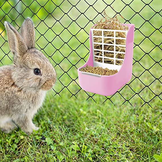 TD Rabbit Feeder Bowl Bowls TD Rabbit Feeder Bowl - Image 12