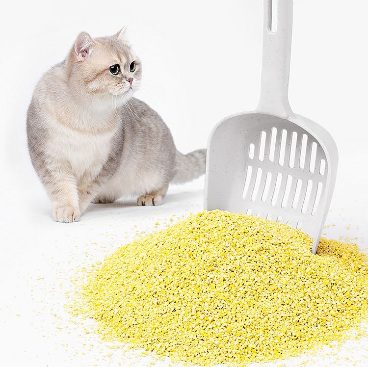 Pearl Ultra Advance Natural Cat Litter Cat Pearl Ultra Advance Natural Cat Litter - Image 6