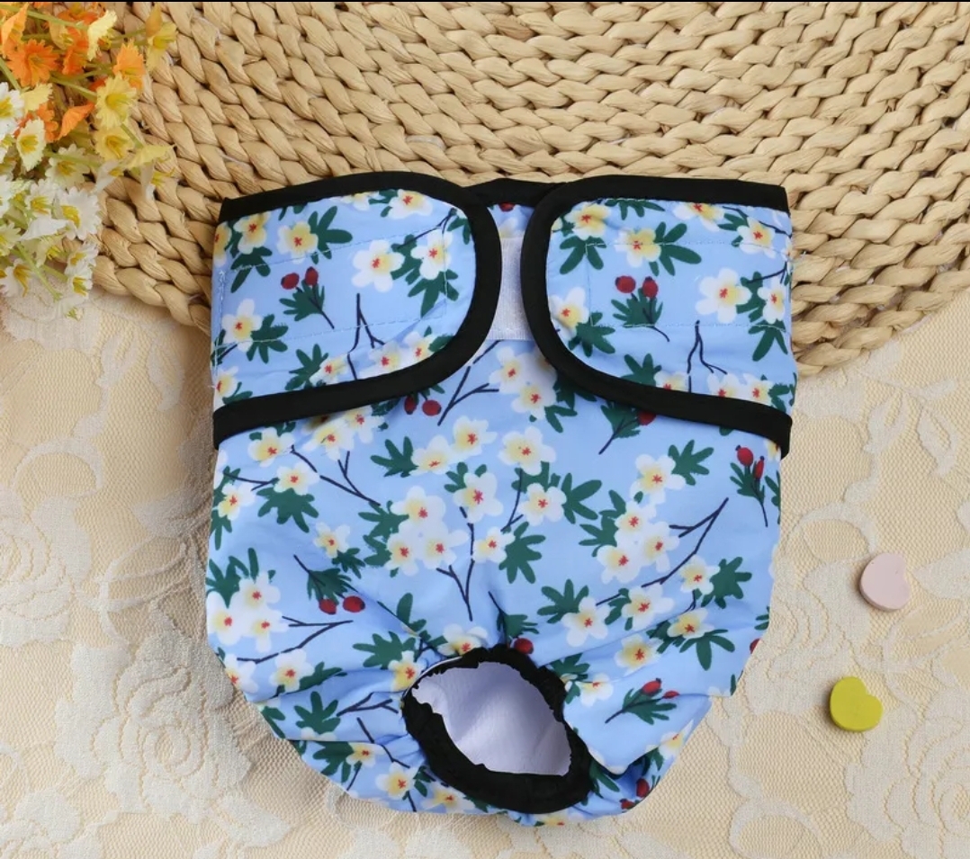 TD Dog Menstruation Underwear Period Pants Female Dog TD Dog Menstruation Underwear Period Pants Female - Image 13