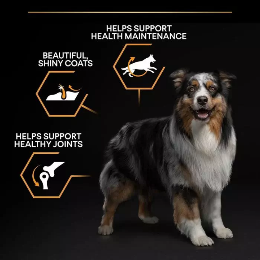 Pro Plan Dog Medium Adult with Optibalance Chicken Dry Food 3kg Dog Pro Plan Dog Medium Adult with Optibalance Chicken Dry Food 3kg - Image 2
