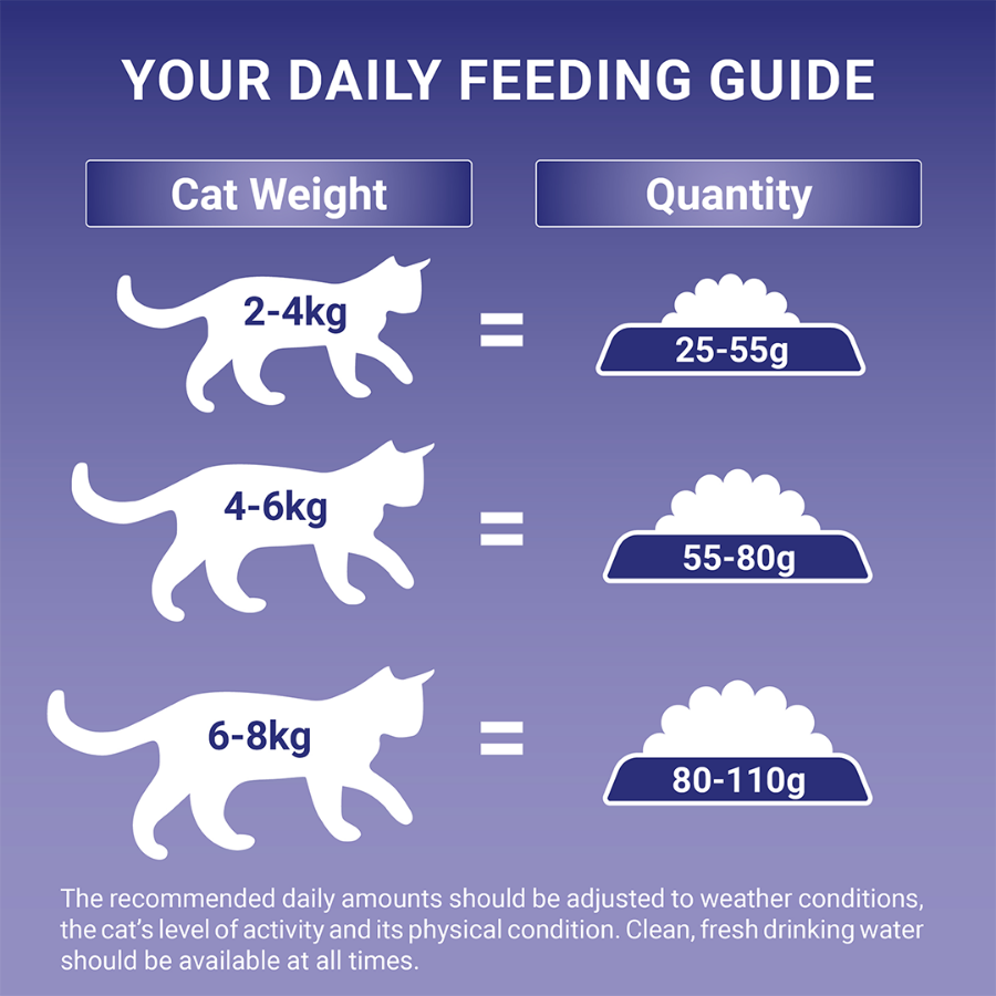 Purina One Indoor Turkey and W/Grain 750g Cat Purina One Indoor Turkey and W/Grain 750g - Image 4