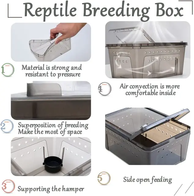 TD Snake Feeding Box with Feeding Bowl Large Reptile Supplies TD Snake Feeding Box with Feeding Bowl Large - Image 3