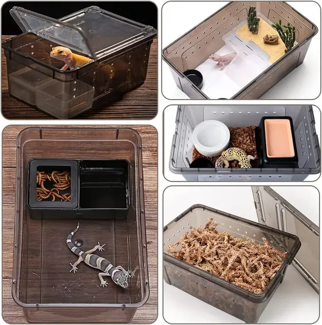 TD Snake Feeding Box with Feeding Bowl Large Reptile Supplies TD Snake Feeding Box with Feeding Bowl Large - Image 2