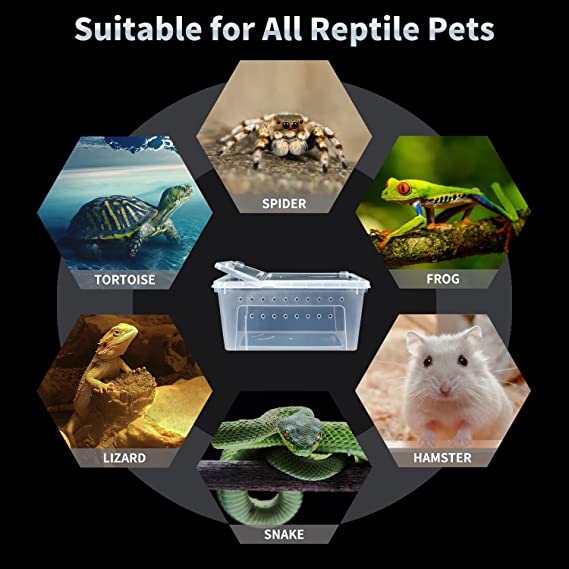 TD Snake Feeding Box with Feeding Bowl Large Reptile Supplies TD Snake Feeding Box with Feeding Bowl Large - Image 5