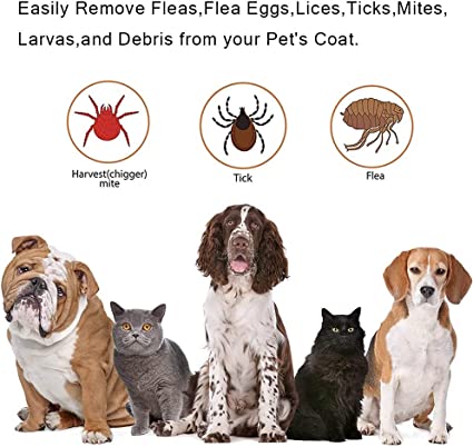 TD Tick Picker Flea Removal 3 in 1 Cat & Dog Set Cat TD Tick Picker Flea Removal 3 in 1 Cat & Dog Set - Image 18