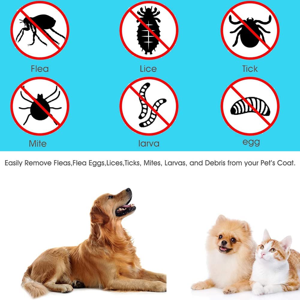 TD Tick Picker Flea Removal 3 in 1 Cat & Dog Set Cat TD Tick Picker Flea Removal 3 in 1 Cat & Dog Set - Image 11