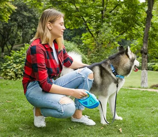 TD Retractable Dog Leash with LED Light Dog TD Retractable Dog Leash with LED Light - Image 16