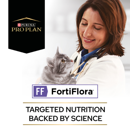Pro Plan Feline FortiFlora Probiotic Complement Sachet Cat Pro Plan Feline FortiFlora Probiotic Complement Sachet - Image 2