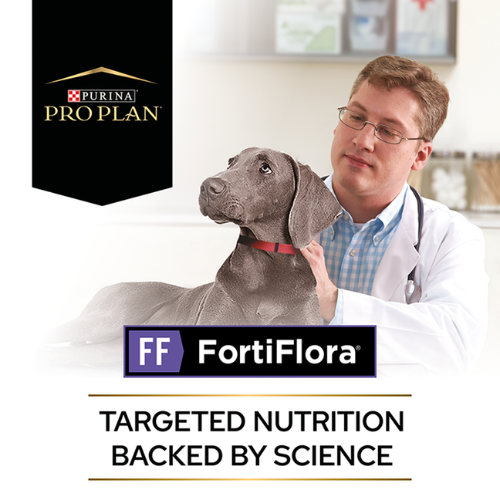 Pro Plan Canine FortiFlora Probiotic Complement Sachet Dog Pro Plan Canine FortiFlora Probiotic Complement Sachet - Image 2
