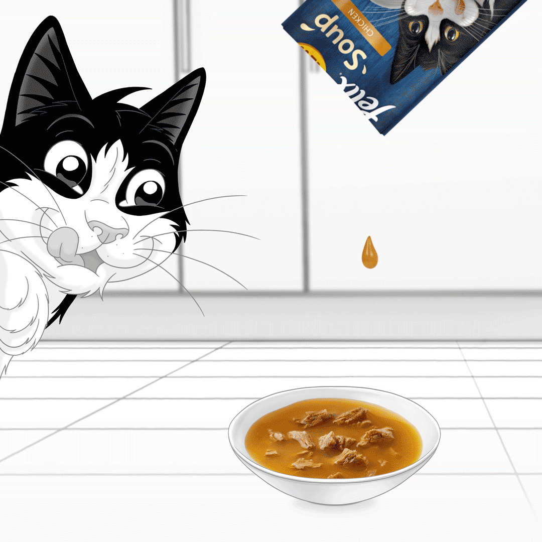 Felix Soup Farm Selection Wet Cat Food Cat Felix Soup Farm Selection Wet Cat Food - Image 2