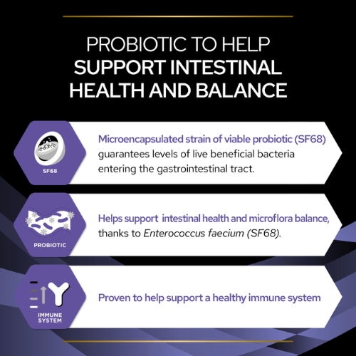 Pro Plan Feline FortiFlora Probiotic Complement Sachet Cat Pro Plan Feline FortiFlora Probiotic Complement Sachet - Image 3