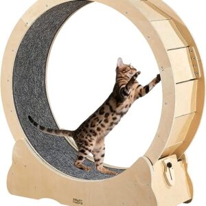 TD Cat Wheel Treadmill Wood Scratcher Cat TD Cat Wheel Treadmill Wood Scratcher