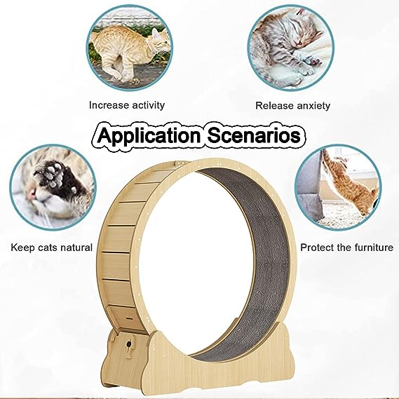 TD Cat Wheel Treadmill Wood Scratcher Cat TD Cat Wheel Treadmill Wood Scratcher - Image 5