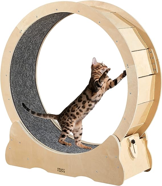 TD Cat Wheel Treadmill Wood Scratcher Cat TD Cat Wheel Treadmill Wood Scratcher
