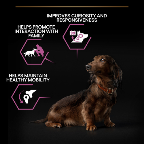 Pro Plan Dog Small & Mini Adult 9+ With Optiage Chicken Dry Food 3kg Dog Pro Plan Dog Small & Mini Adult 9+ With Optiage Chicken Dry Food 3kg - Image 2