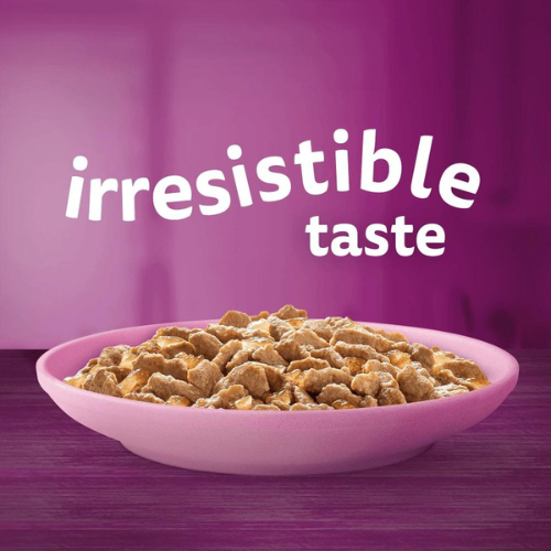 Whiskas Kitten Pouch Cat Meaty Meals In Jelly Cat Whiskas Kitten Pouch Cat Meaty Meals In Jelly - Image 2