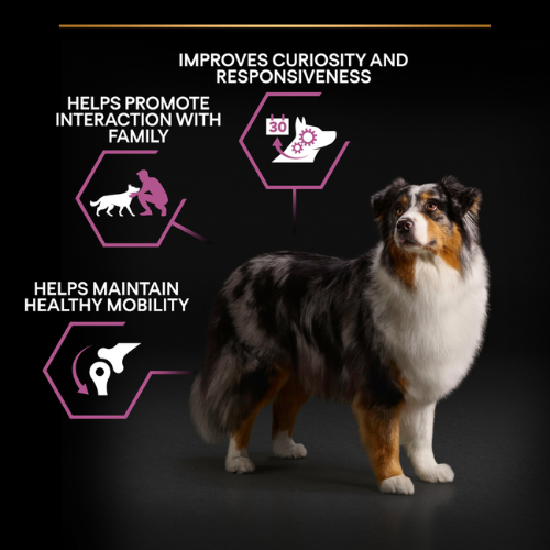 Pro Plan Dog Medium & Large Adult 7+ with Optiage Chicken Dry Food 3kg Dog Pro Plan Dog Medium & Large Adult 7+ with Optiage Chicken Dry Food 3kg - Image 2