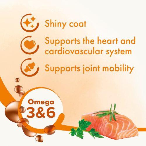 Beaphar Salmon Oil For Cats & Dogs 425ml Cat Beaphar Salmon Oil For Cats & Dogs 425ml - Image 3