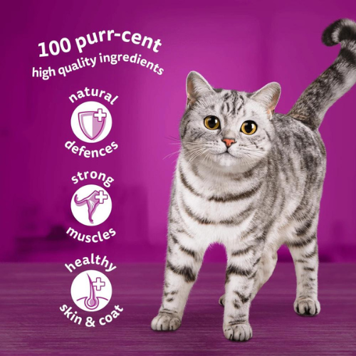 Whiskas Pouch 1+ Cat Poultry Feasts in Jelly Cat Whiskas Pouch 1+ Cat Poultry Feasts in Jelly - Image 3