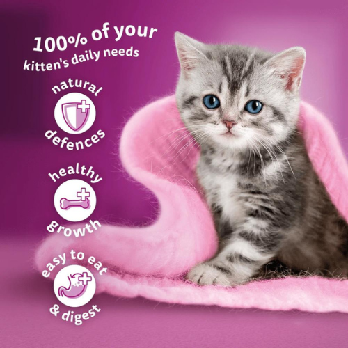 Whiskas Kitten Pouch Cat Meaty Meals In Jelly Cat Whiskas Kitten Pouch Cat Meaty Meals In Jelly - Image 3