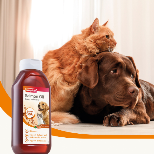 Beaphar Salmon Oil For Cats & Dogs 425ml Cat Beaphar Salmon Oil For Cats & Dogs 425ml - Image 4