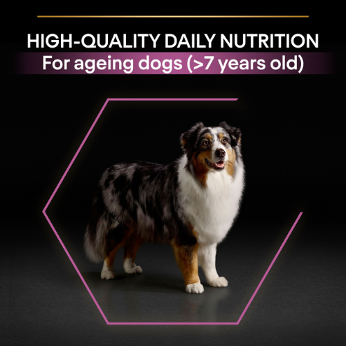 Pro Plan Dog Medium & Large Adult 7+ with Optiage Chicken Dry Food 3kg Dog Pro Plan Dog Medium & Large Adult 7+ with Optiage Chicken Dry Food 3kg - Image 4
