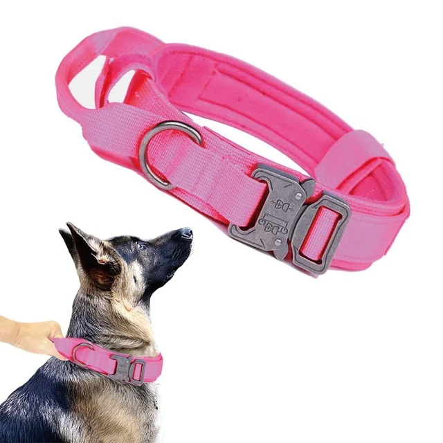 TD Tactical Military Dog Collar & Leash Dog TD Tactical Military Dog Collar & Leash - Image 33
