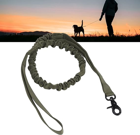 TD Tactical Military Dog Collar & Leash Dog TD Tactical Military Dog Collar & Leash - Image 11