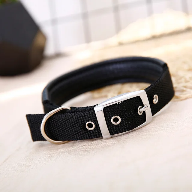 TD Nylon Collar with Authentic Neoprene Collar TD Nylon Collar with Authentic Neoprene