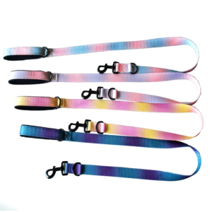TD Padded Leash Dog TD Padded Leash