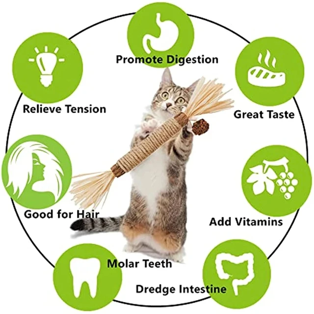 TD Matatabi Silvervine Sticks Toy Cat TD Matatabi Silvervine Sticks Toy - Image 2