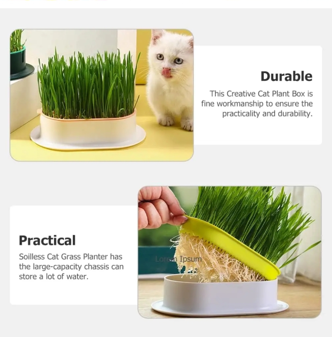 TD Hydroponic Plant Cat Grass Kit Bowls TD Hydroponic Plant Cat Grass Kit - Image 4