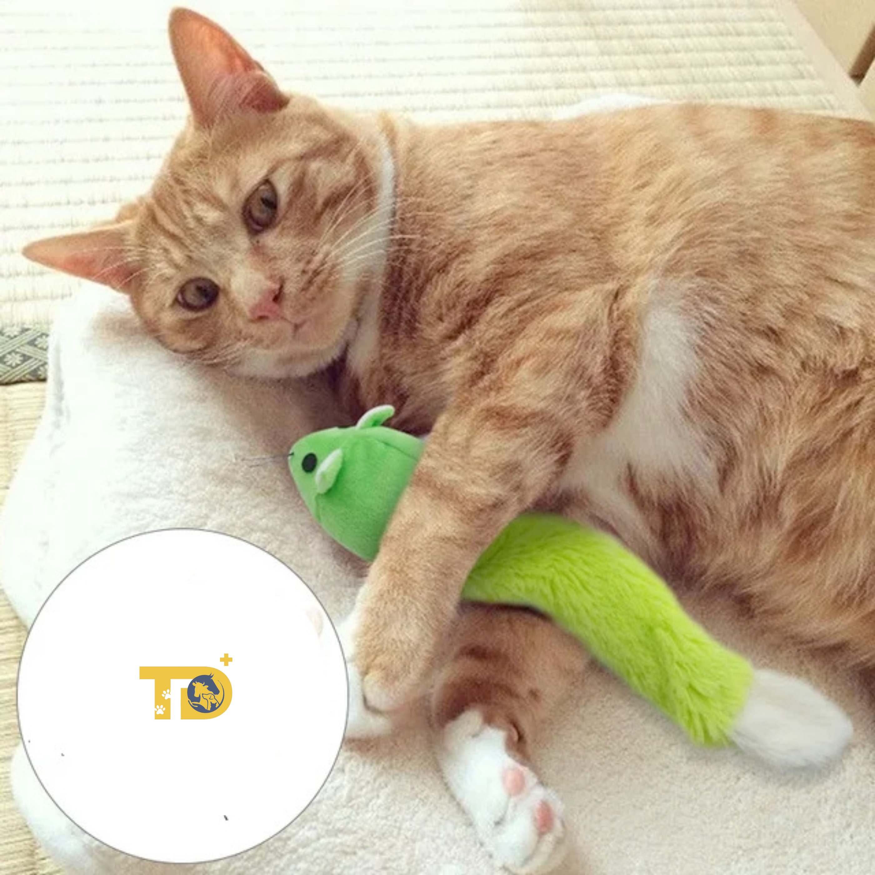 TD Catnip Interactive Mouse Chew Cat Toy Cat TD Catnip Interactive Mouse Chew Cat Toy - Image 7
