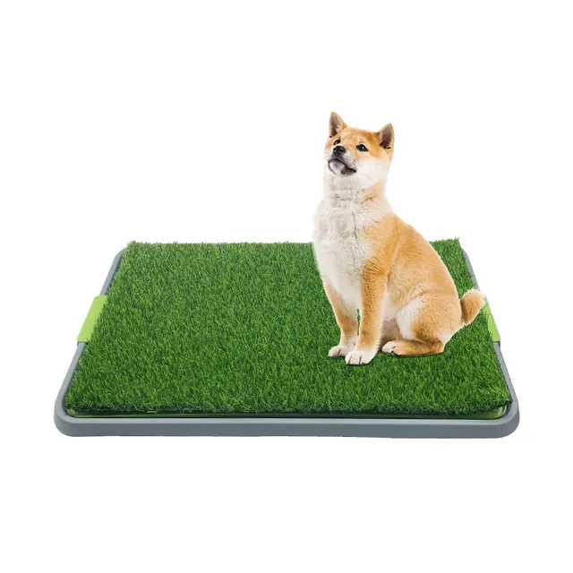 TD Puppy Training Patch Potty Pad Artificial Turf Toilet Dog TD Puppy Training Patch Potty Pad Artificial Turf Toilet
