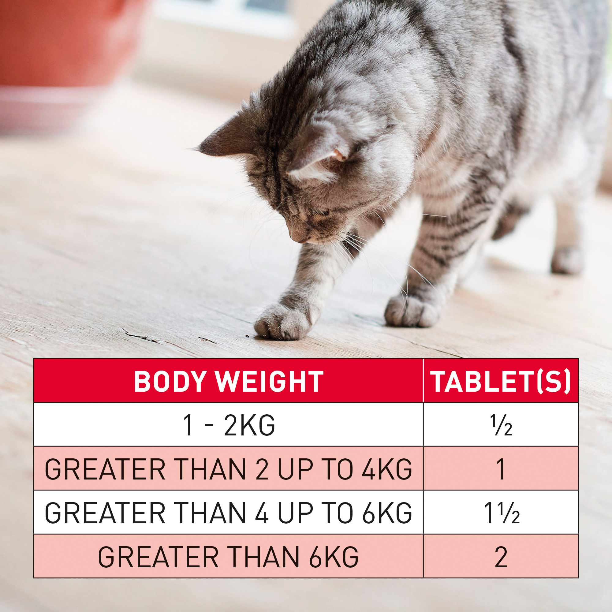 Beaphar Wormclear Worming 2 Tablets Cats Cat Beaphar Wormclear Worming 2 Tablets Cats - Image 4