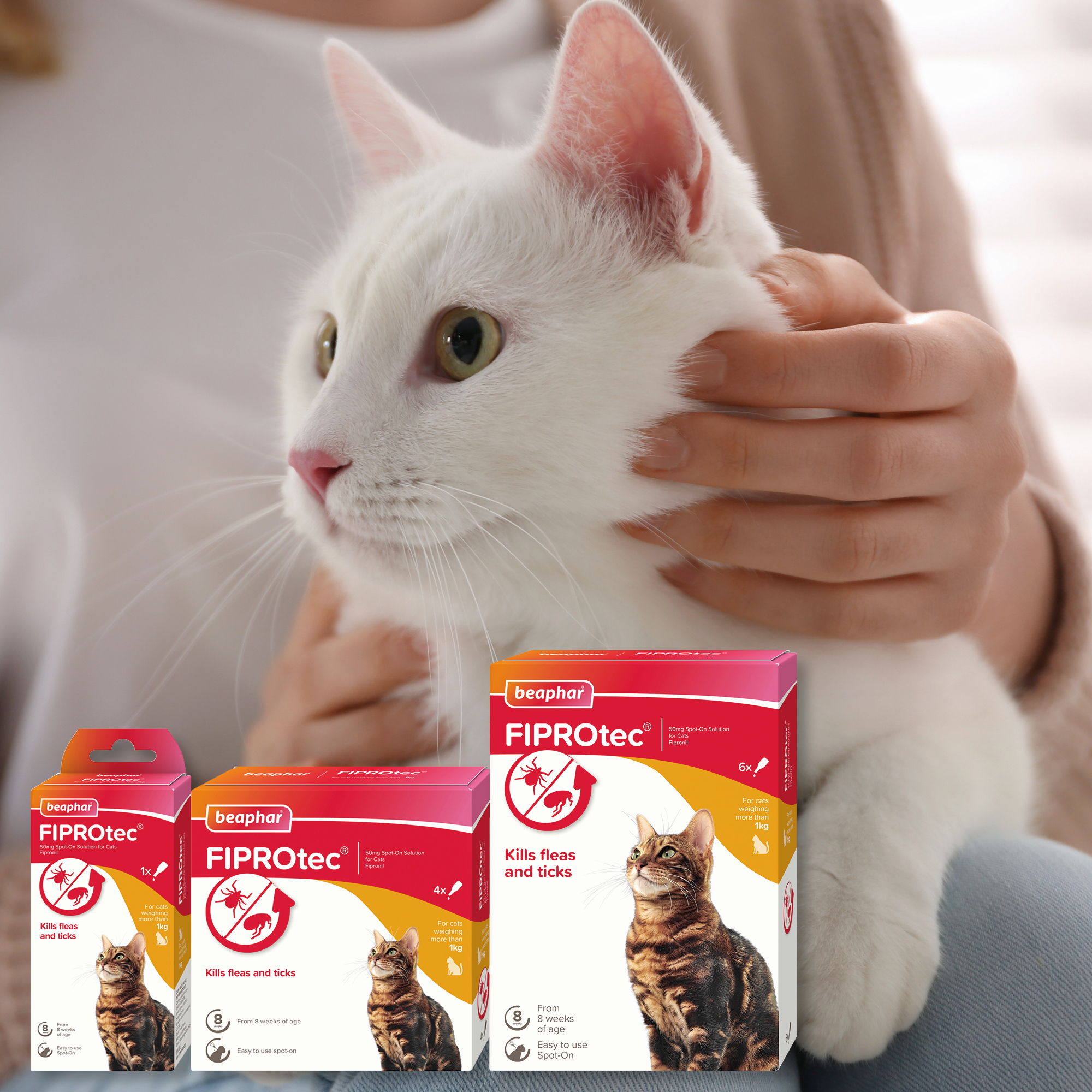 Beaphar FIPROtec® COMBO Flea & Tick Spot-On Cats 1 Pipette Cat Beaphar FIPROtec® COMBO Flea & Tick Spot-On Cats 1 Pipette - Image 3