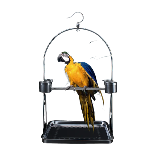 TD Hanging Parrot Pole Stand with Feeding Tray Perch Bird Cage, Bird Food, Health & Accessories TD Hanging Parrot Pole Stand with Feeding Tray Perch - Image 4