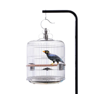 TD Stainless Steel Bird Cage with Hanging Stand Bird Cage, Bird Food, Health & Accessories TD Stainless Steel Bird Cage with Hanging Stand