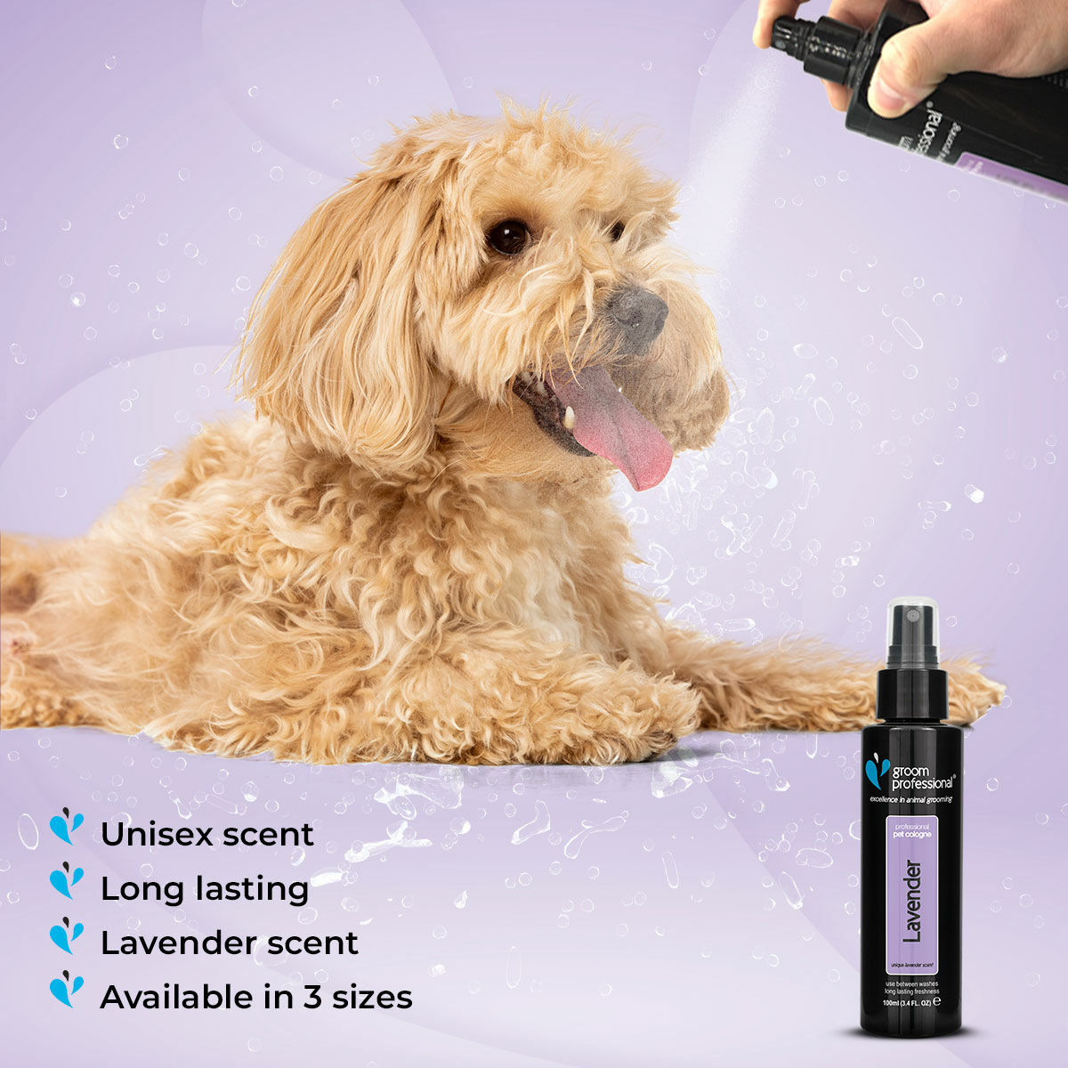 Groom Professional Lavender Cologne 100ml Dog Groom Professional Lavender Cologne 100ml - Image 4