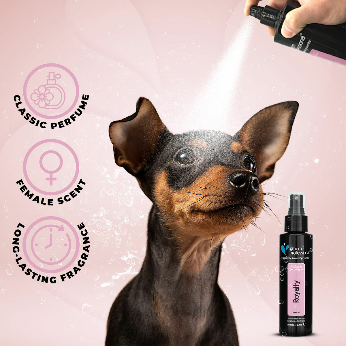 Groom Professional Royalty Cologne 100ml Dog Groom Professional Royalty Cologne 100ml - Image 3