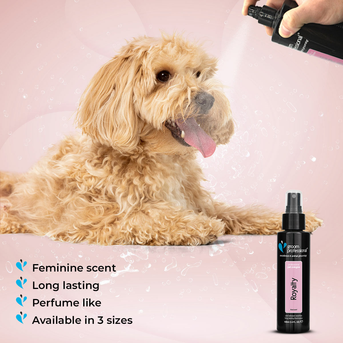 Groom Professional Royalty Cologne 100ml Dog Groom Professional Royalty Cologne 100ml - Image 4