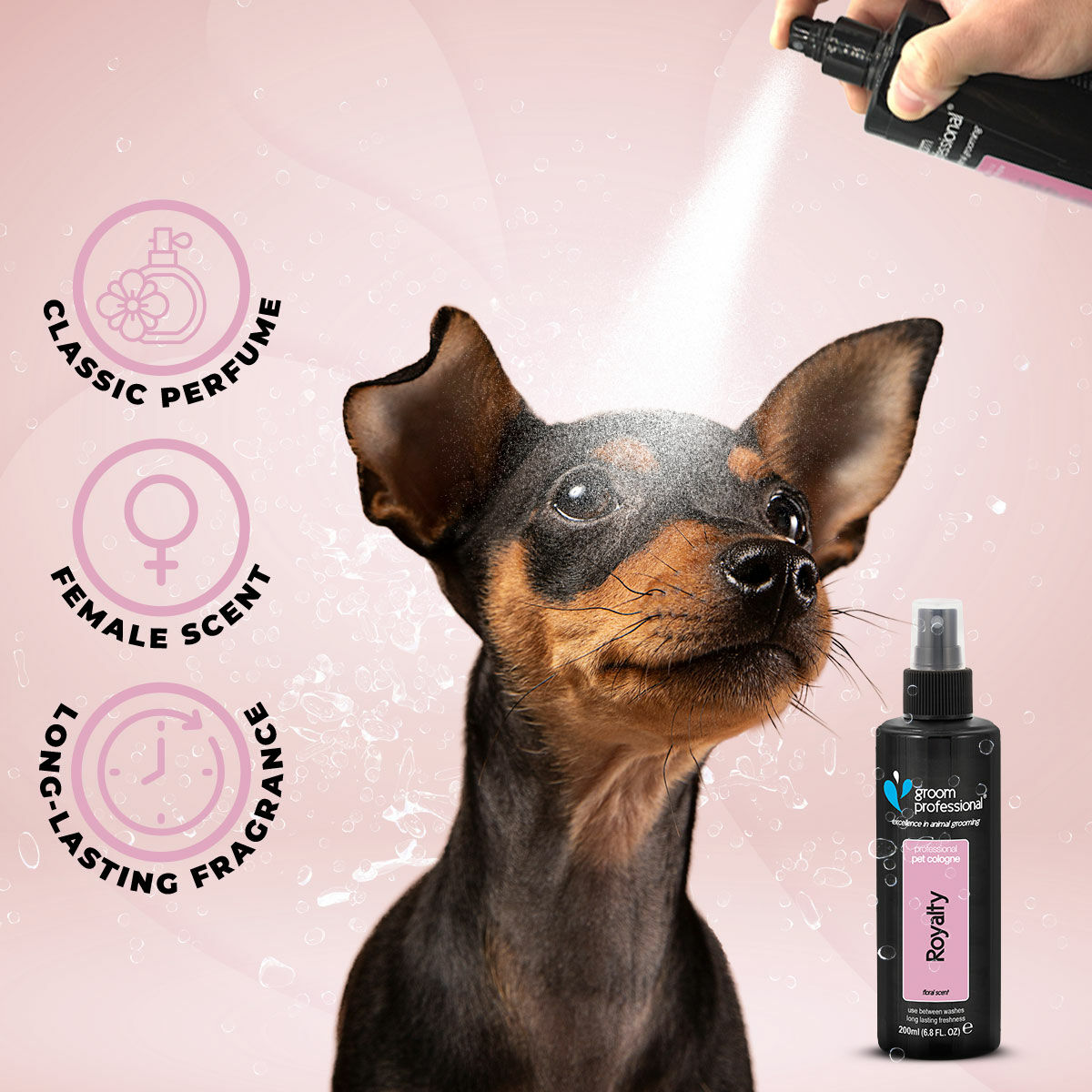 Groom Professional Royalty Cologne 200ml Dog Groom Professional Royalty Cologne 200ml - Image 3