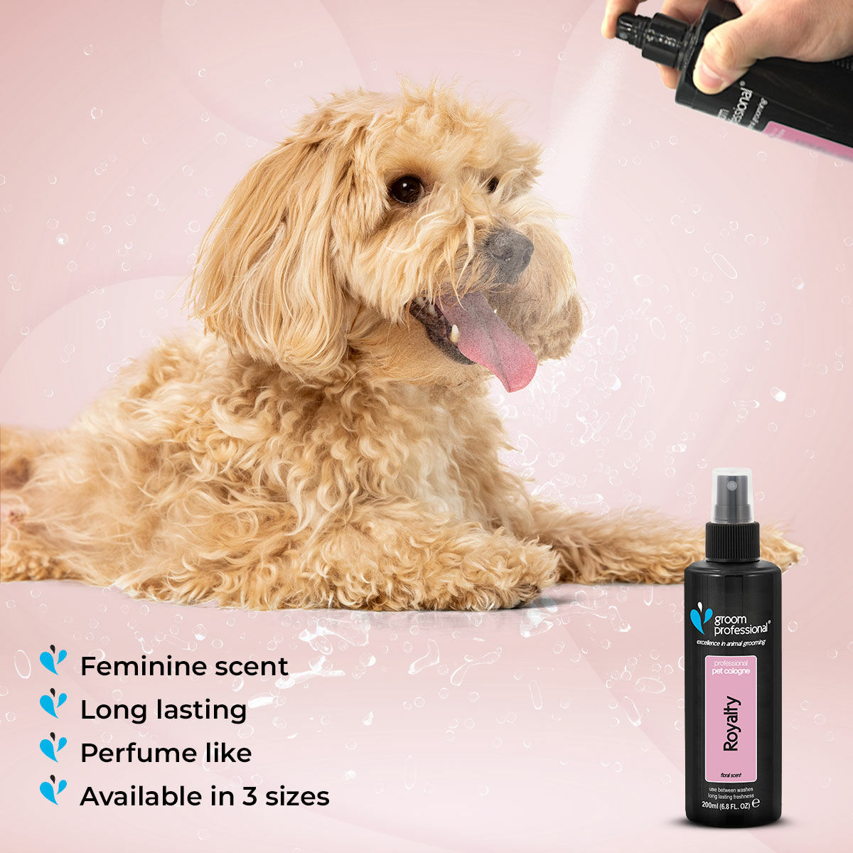 Groom Professional Royalty Cologne 200ml Dog Groom Professional Royalty Cologne 200ml - Image 4